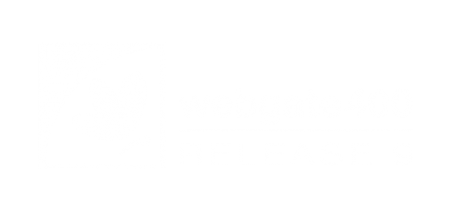 Logo_Webgate_r9